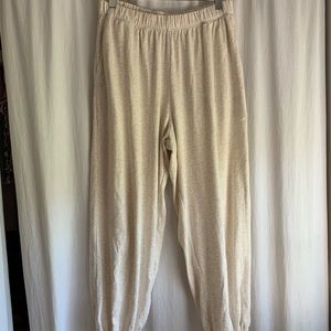 Aerie nomad pants